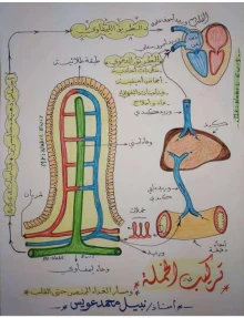 صورة الملف