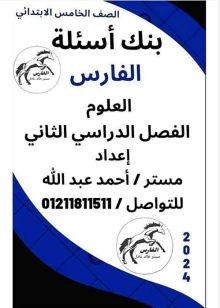 صورة الملف