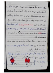 صورة الملف