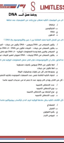 صورة الملف