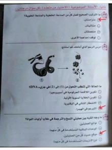 صورة الملف