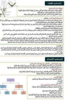 صورة الملف