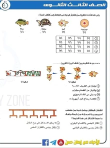 صورة الملف