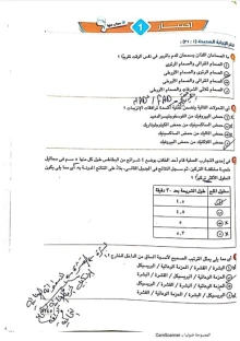 صورة الملف