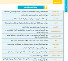 صورة الملف