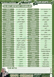 صورة الملف