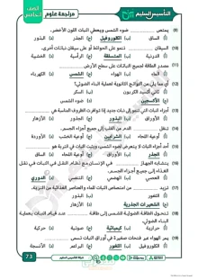 صورة الملف