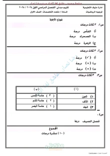 صورة الملف