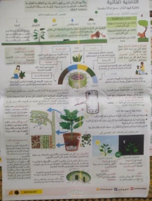صورة الملف