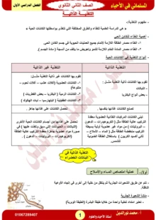 صورة الملف