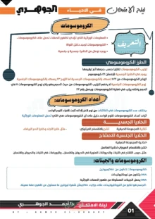 صورة الملف