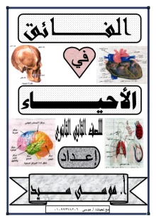 صورة الملف