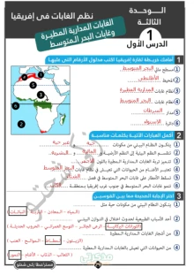 صورة الملف