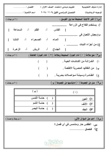 صورة الملف