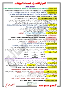صورة الملف
