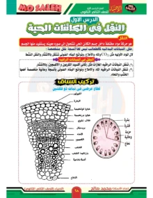 صورة الملف