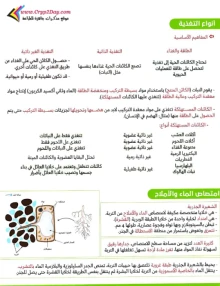 صورة الملف