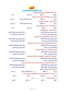صورة الملف