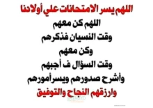 صورة الملف